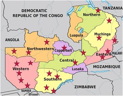 Composition and Diversity of Natural Bacterial Communities in Mabisi, a Traditionally Fermented Milk